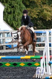 Class 3 -  Fences not above 2'3